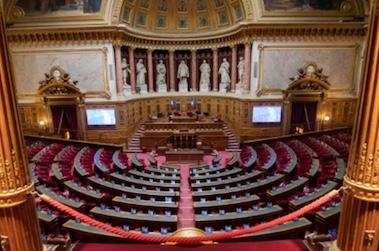 Senat
