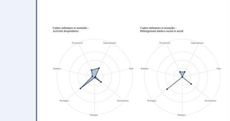 Matrice Soignances montrant les facteurs de risques pour les professions de santé