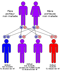 heredite drepanocytose