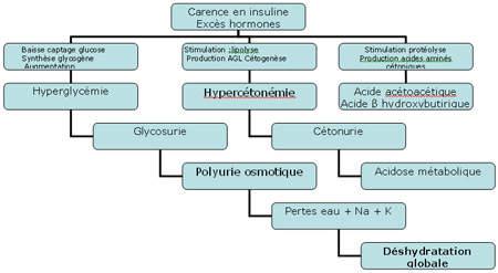 urgence diabétuque 2