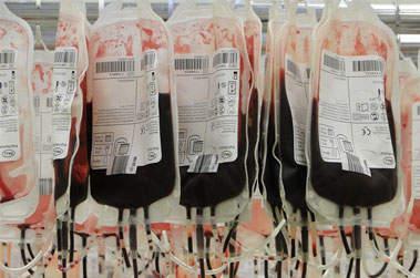 Poches de sang transfusion
