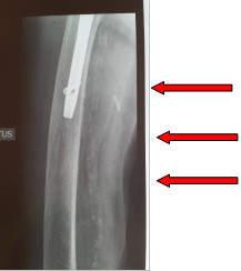 radiologie