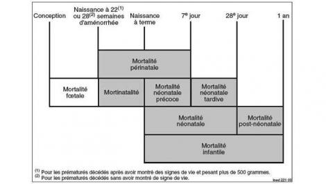 Evolution de la mortalité infantile Ile de la Réunion depuis 50 ans