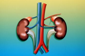 Cours - Le rein, un organe qui se fait trop souvent oublier