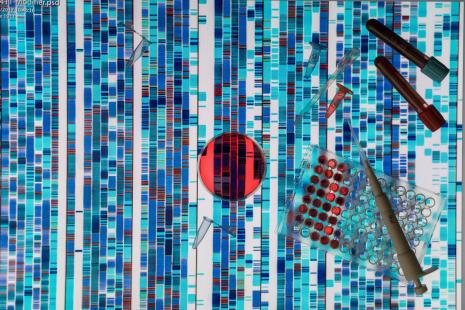 80 % des maladies rares auraient une origine génétique