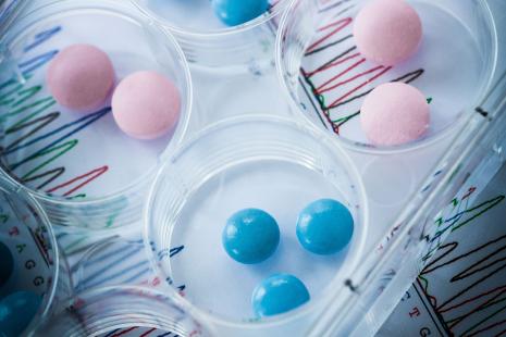 Pathologies, prise en charge, traitements : la question est transversale