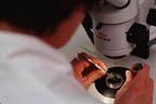 Recherche Alzheimer Premier bilan satisfaisant N° Spé Neurologues