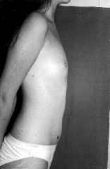 1276294261Img21466.jpg