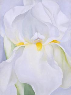 Georgia O'Keeffe, " White Iris », 1930