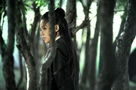 Cinéma-The Assassin