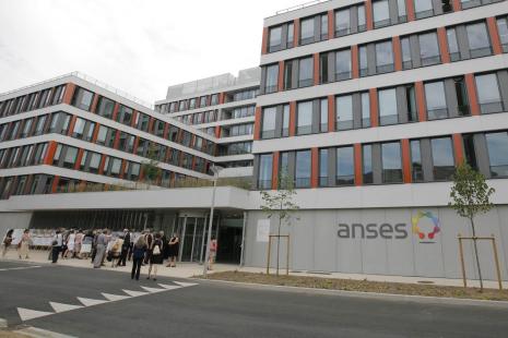 anses