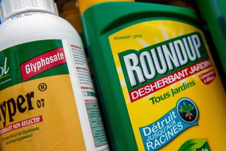 glyphosate