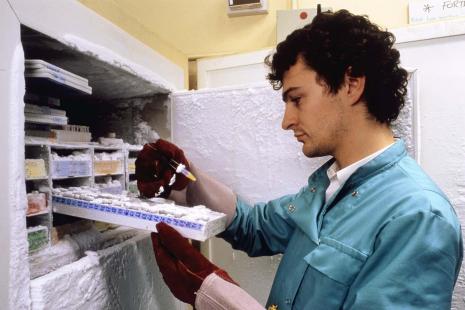 vaccin paludisme