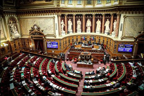 senat