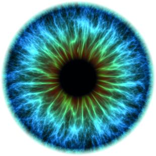 Des pistes pour restaurer la vision