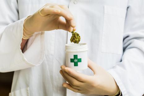Cannabis thérapeutique