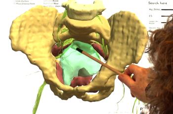 Des nerfs en 3D pour une chirurgie optimisée