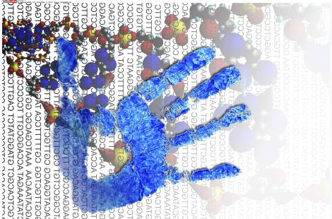 À la rencontre de la biomédecine