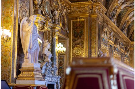 Médecines  alternatives  : une stratégie d’influence à l’épreuve des institutions