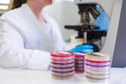 Pneumonie, VIH, VRS… : l’Escmid 2026 met à l’honneur des interventions efficaces