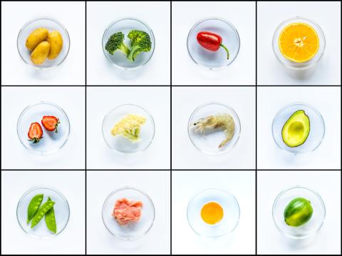 ICN 2025 : la nutrition à l’ère des preuves
