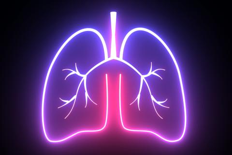 CPLF 2026 : le poumon d’abord