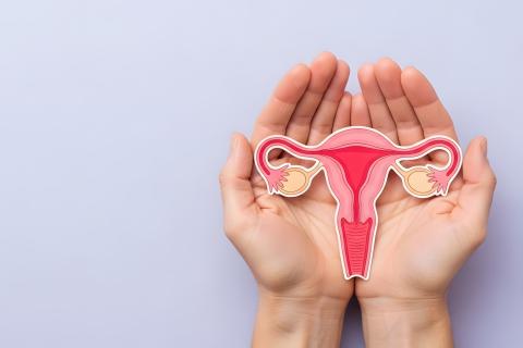 PSF 2025 : Paris et défis pour les femmes