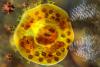 Les maladies du mastocyte : en 20 ans, le bond en avant