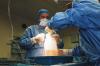 Insuffisance rénale : des CAR-T cells pour désensibiliser avant une transplantation ?