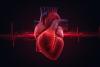 Fibrillation atriale : l’éternelle question des anticoagulants
