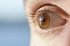 Un hôpital italien parvient à transplanter une macula, une première mondiale