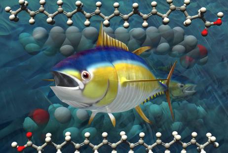 poisson