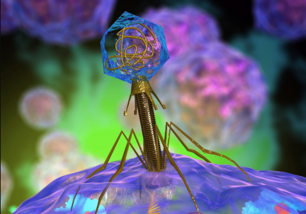 bacteriop