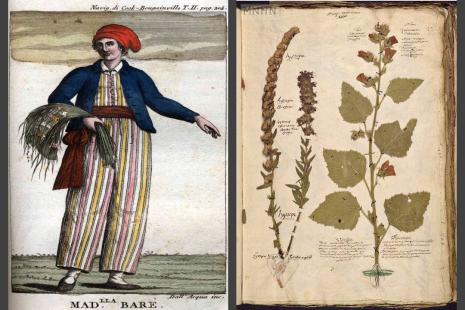 Jeanne Barret et Herbier de Commerson