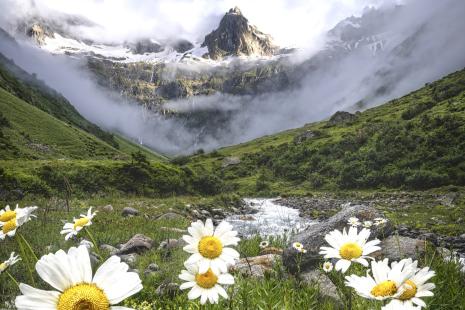nature