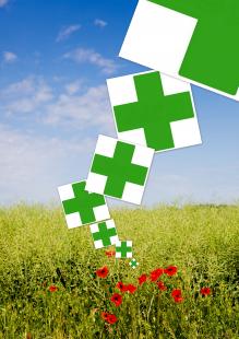 En vert et contre tout