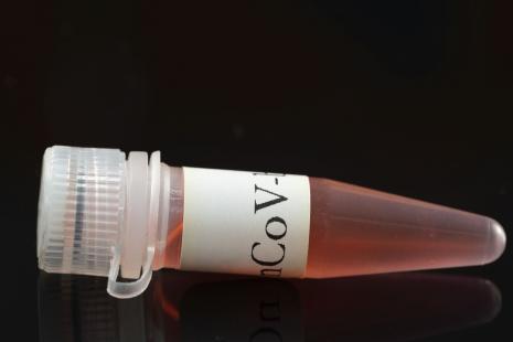Test de dépistage par PCR