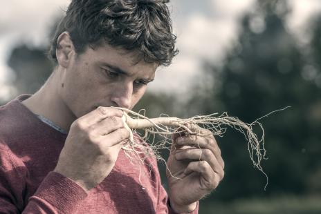 L'ancien international de rugby Yannick Jauzion mise aujourdhui sur le réseau officinal pour distribuer le ginseng asiatique cultivé en France
