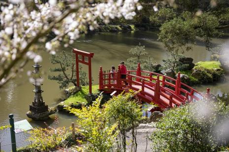 Le parc oriental de Maulévrier