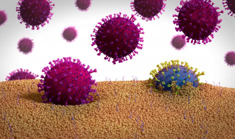 Image de synthèse montrant la mutation d'un coronavirus. 