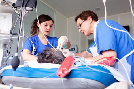 L'ECMO (oxygénation par membrane extracorporelle) permet une survie de 46% pour les patients les plus gravement atteints