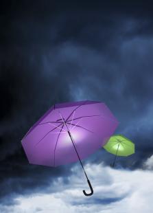 Bouclier transparent