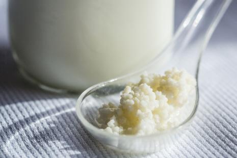 Le kéfir de lait est connu pour ses effets bénéfiques à la fois thérapeutiques préventifs et physiologiques sur la santé