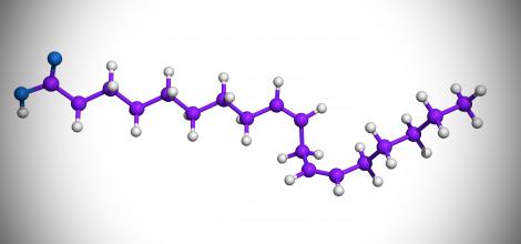Modèle moléculaire de l'herceptine (Trastuzumab), médicament biosimilaire
