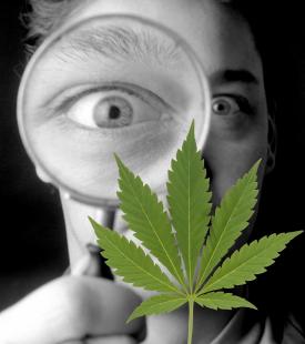 L'arrêté ministériel paru le 31 décembre 2021 autorise l’utilisation industrielle et commerciale du CBD, mais interdit la vente de fleurs et de feuilles brutes de chanvre pour des motifs de santé publique