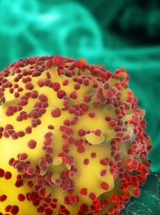 La PrEP repose sur l'association de 200 mg d'emtricitabine et de 245 mg de ténofovir disoproxil