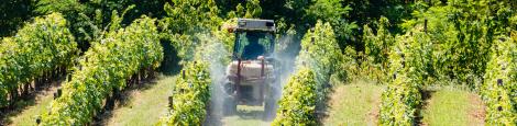 Le lien entre l’exposition professionnelle aux pesticides et la BPCO ou bronchite chronique est désormais établi