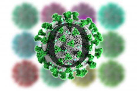 Les dernières études montrent l’importance du rappel vaccinal et de la limitation des contacts, avec un variant Omicron certes moins dangereux, mais plus contagieux