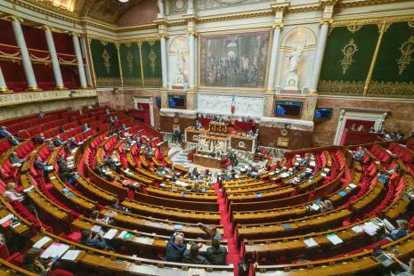 Le projet de loi adopté le 8 février par le Parlement prévoit notamment d'opérer une stricte distinction entre le patrimoine personnel et professionnel du dirigeant d'entreprise en nom propre