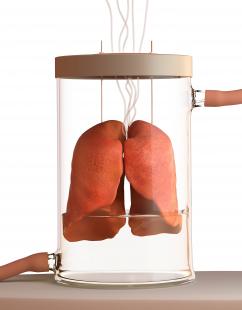 Transformer les globules rouges du groupe A en globules rouges du groupe O